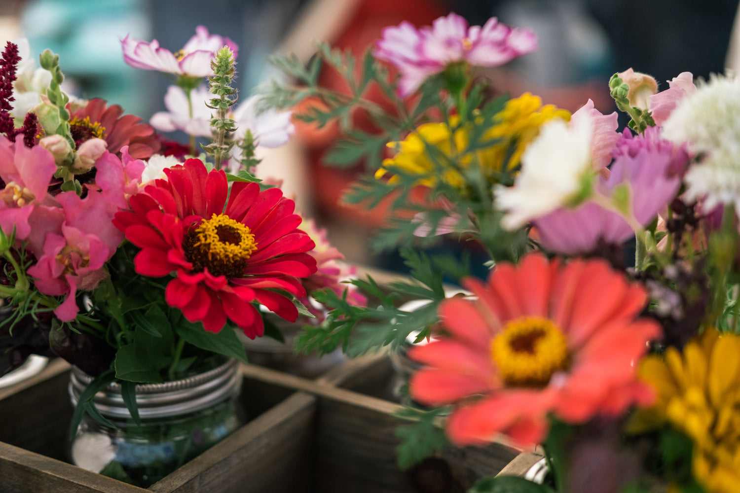 Flores